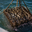 Mare_Santo_Dragic-5_1_858aee42-3ddf-44a5-a65b-ce3356277952.png