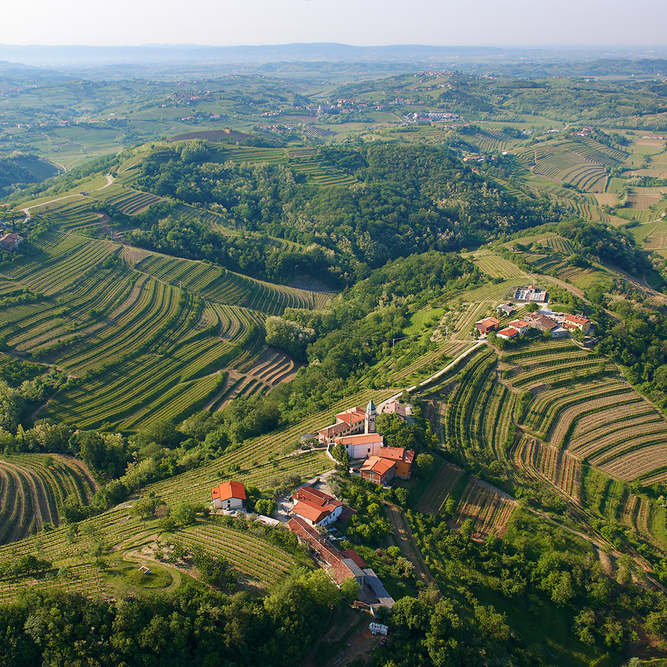 Vinogradi_3_2.png